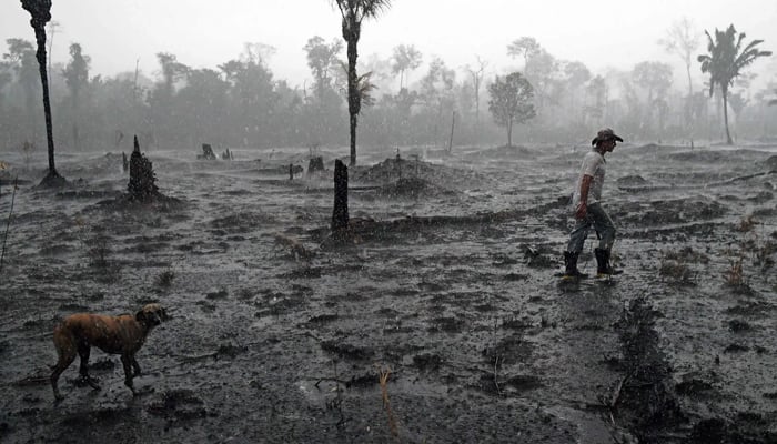 A farmer walked through a burned area of ​​the Amazon rainforest near Porto Velho, Brazil, 2019. — AFP