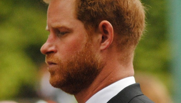 Prince Harry questioned his intentions: 'Is the cost too much?