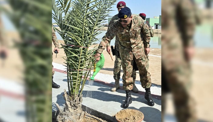 Coas Gen Also Munir Waters A plant at the launching ceremony of the Green Pakistan initiative in Cholistan on February 15, 2025. - PakGazette News