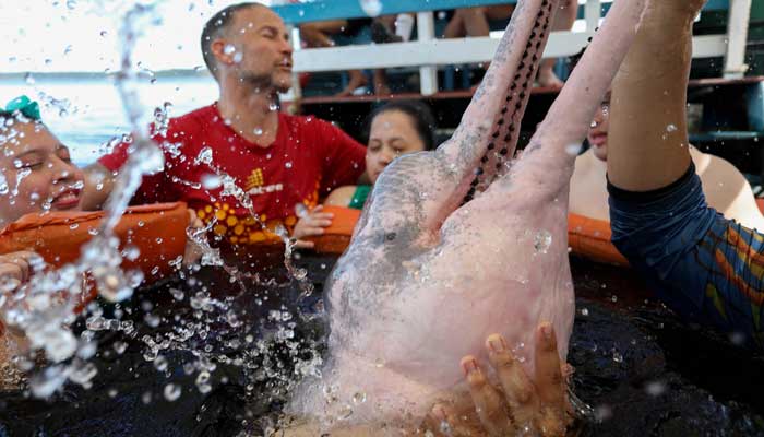 The physiotherapist Igor Simoes Andrade and young people with disabilities swim with pink dolphins (Inia Geoffrensis) in the Río Negro River in Iranduba, state of Amazonas, Brazil, on February 20, 2025. - AFP