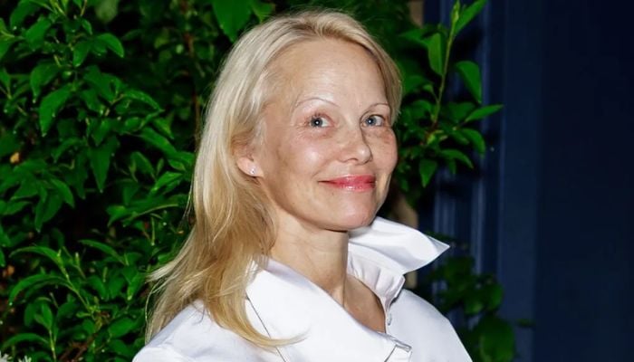 Pamela Anderson suggests an unexpected new company