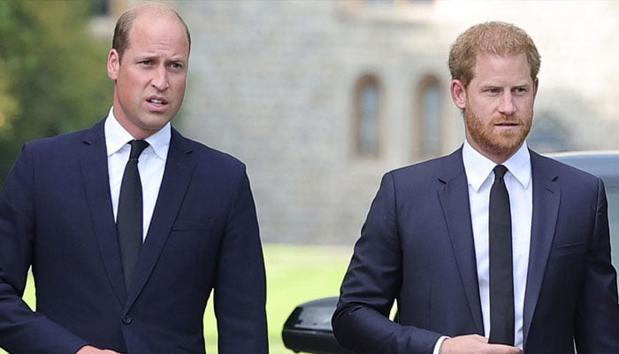 Princess Diana's ex talks about the ongoing crack of William and Harry