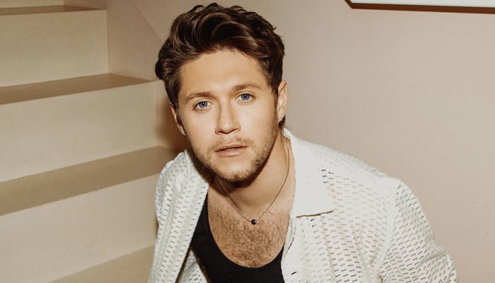 Niall Horan confirms the new music