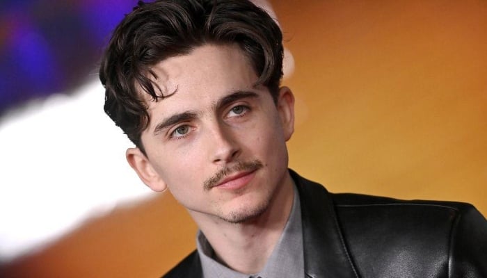 Photo: Timothee Chalamet Proud to become Bob Dylans number one fan: Report