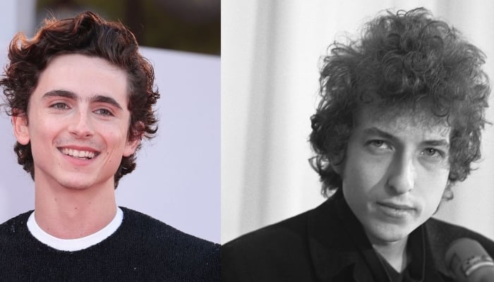 Timothee Chalamet follows the steps of Bob Dylans again: Report