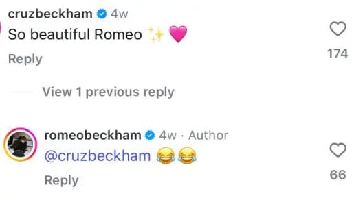 Romeo and Cruz Beckham Troll Brooklyns wife Nicola Peltz in the middle of the family