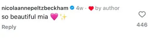 Romeo and Cruz Beckham Troll Brooklyns wife Nicola Peltz in the middle of the family