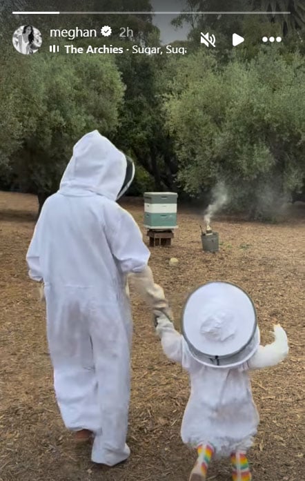 Meghan Markle Tingtoes around the bees with Princess Lilibet: Photo