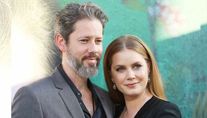 Amy Adams's husband, Darren Le Gallo, Thought Bouthing Tribute for her in her special day
