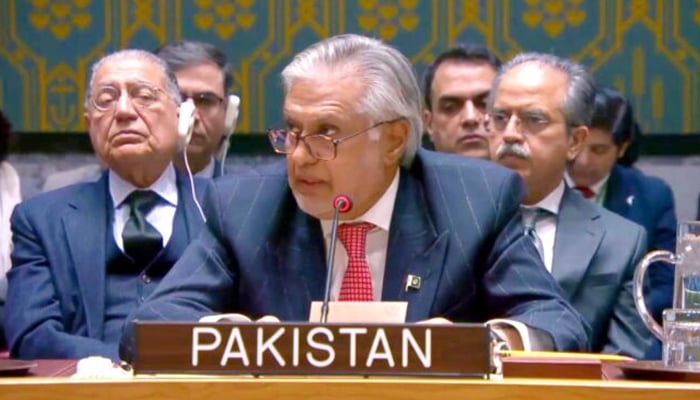 VicePrimer Minister, Senator Ishaq Dar, addresses the United Nations Security Council (UNSC) on February 18, 2025. - App
