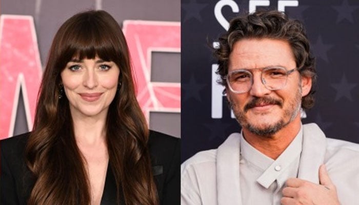 Why does Pedro Pascal suggest that Dakota Johnson begins alone?