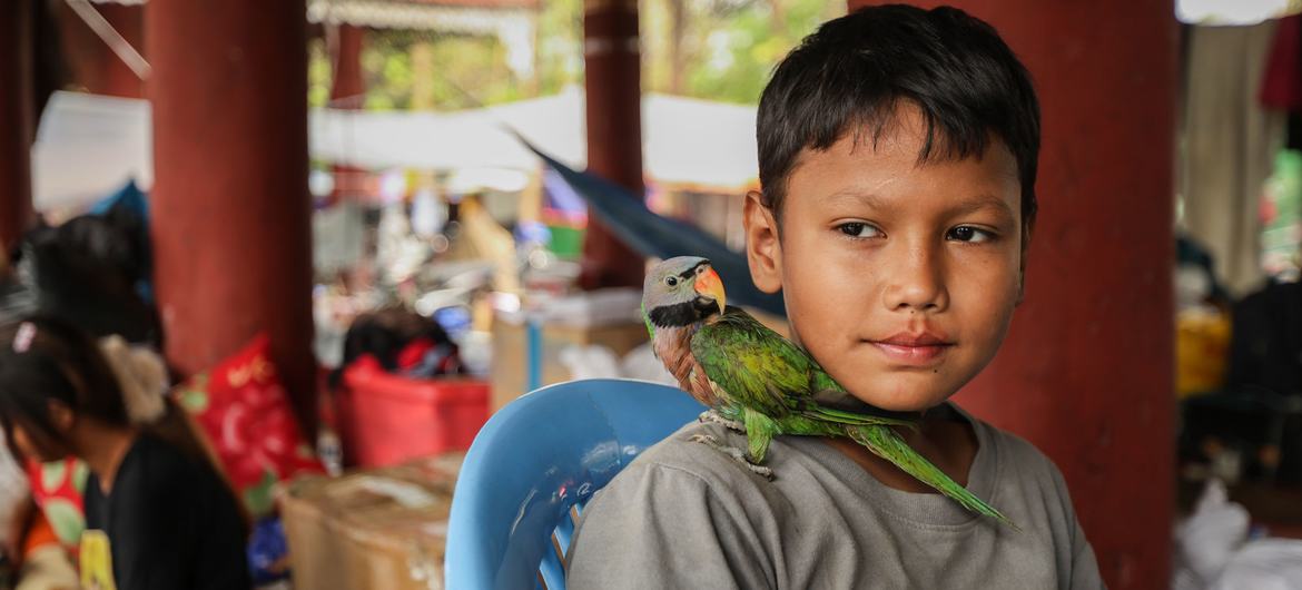 A 10 -year -old boy with his parrot on the shoulder in a temporary camp established after the devastating earthquake that hit Myanmar. A 10 -year -old boy with his parrot on the shoulder in a temporary camp established after the devastating earthquake that hit Myanmar.