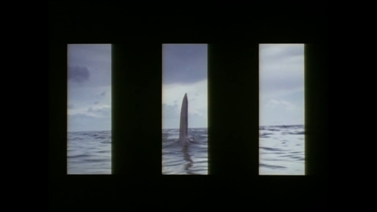 Jaws 3-D | Theatrical trailer | 1983 - YouTube