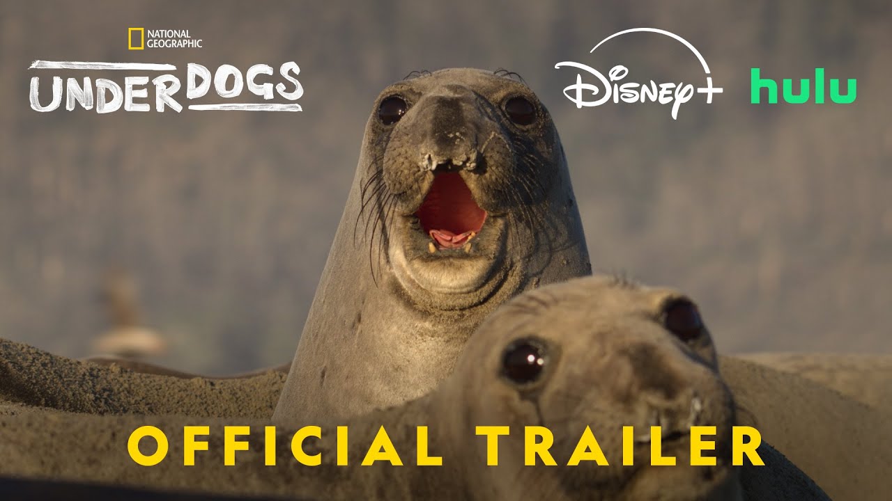 Helpless | Official trailer | National Geographic - YouTube
