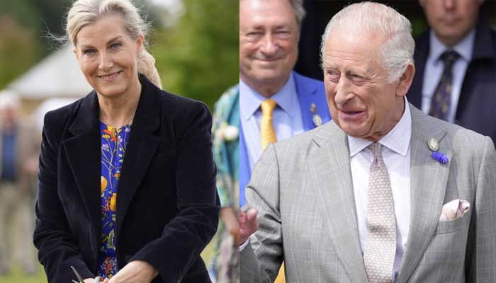 Buckingham Palace broadcast statement while Duchess Sophie stands out for King Charles