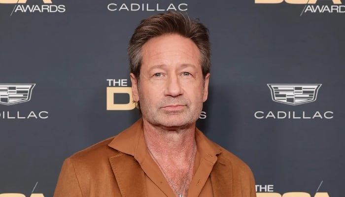 Photo: David Duchovny shares two cents on Netflix's impact on television