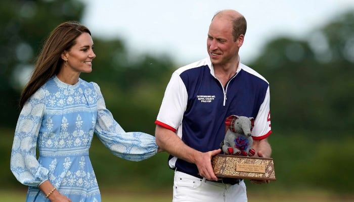 The charity of Prince Williams Polo Match Short Ties with the donor who tried to sell access to him and Kate