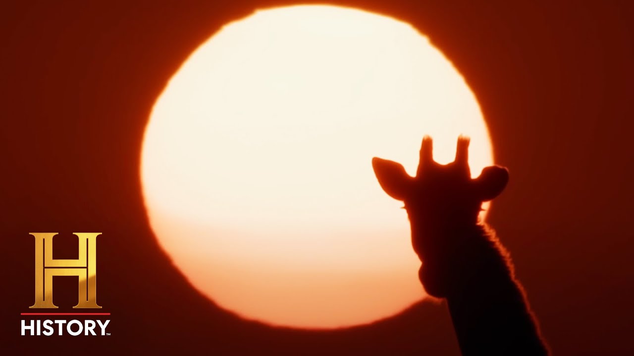 Something Africa: Extended Peek - YouTube
