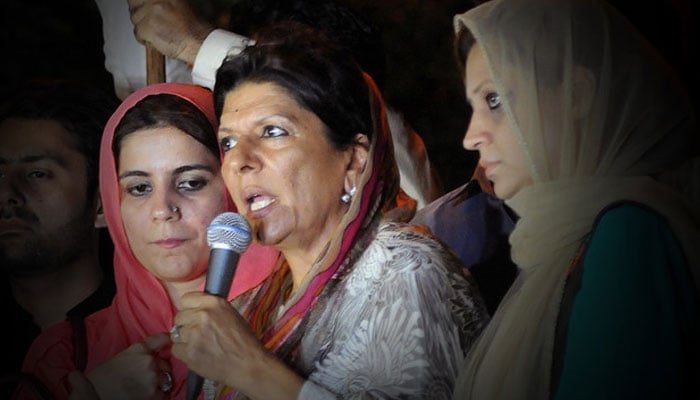 Aleema Khan, sister of former Prime Minister Imran Khan, addresses PTI workers in Islamabad. - AFP/file