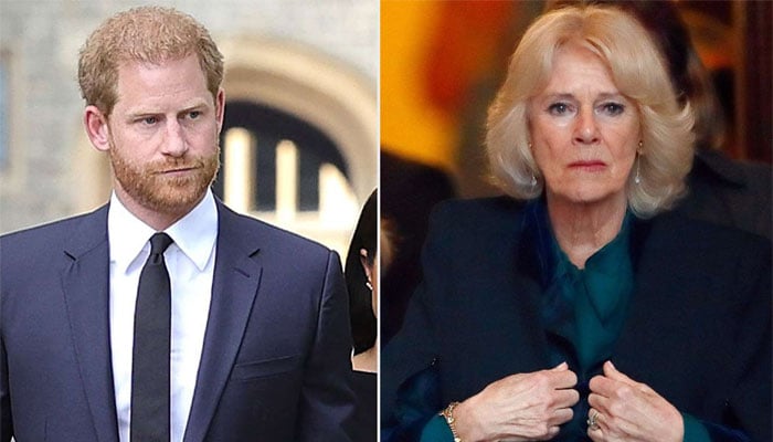 Prince Harry leaves Queen Camilla disappointed and sad