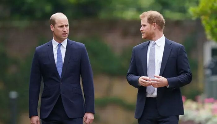 Prince William tries to 'fill the gap' left by Brother Prince Harry