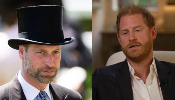 Prince Harry has been called to reconsider what he can still do to make peace