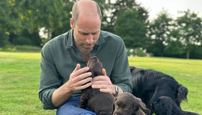 Princess of Wales, children celebrate Prince Williams's birthday