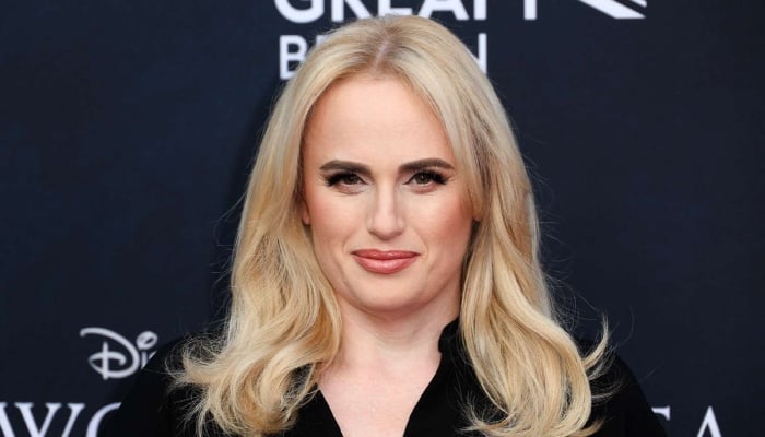 Photo: Rebel Wilson makes fun of new details about Pitch Perfect 4