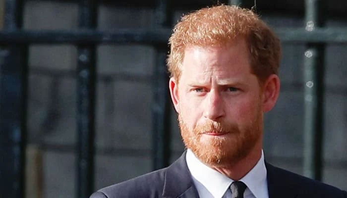Prince Harry could grow his spare role, says the expert