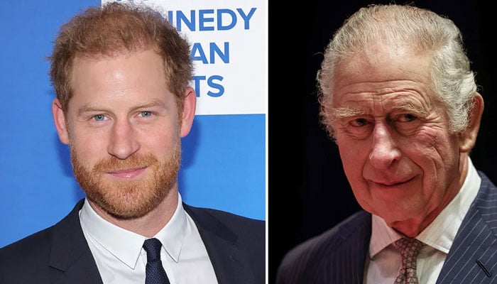 Did King Charles and Prince Harry organize peace talks for the camera?