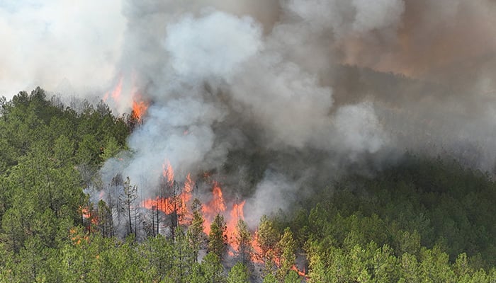A drone view shows the smoke that rises from a forest fire in Harmancik in the province of Bursa del Norwest, Turkey, July 28, 2025. - Reuters