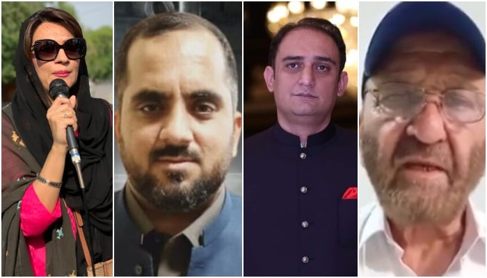 Nominees of the separate PTI Senate - (from left to right) Ayesha Bano, Irfan Salem, Waqas Orakzai and Irshad Hussain - @ptikpofoficial/file