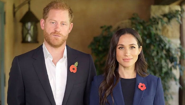 Netflix's departure opens new doors for Prince Harry, Meghan Markle