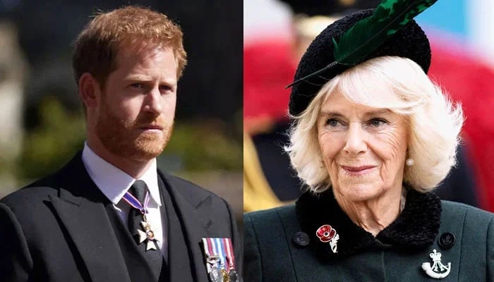 Prince Harry deeply upset by the madrastra queen Camilla Move