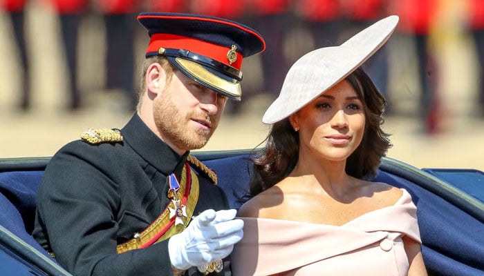 Prince Harry can fight more than Meghan after the Netflix agreement expires