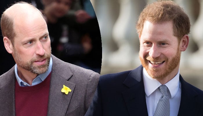 Is Prince William 'taking notes' by Prince Harry?