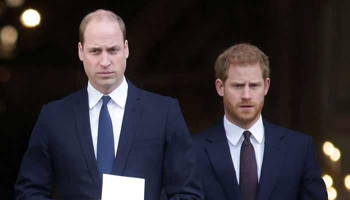 Prince Harry warned Prince William who never forgives him