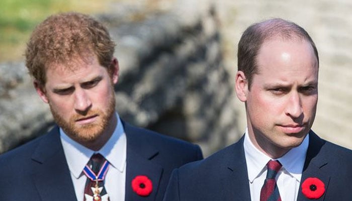 Prince William opts for 'the Danish way of the departure strategy of Prince Harry?