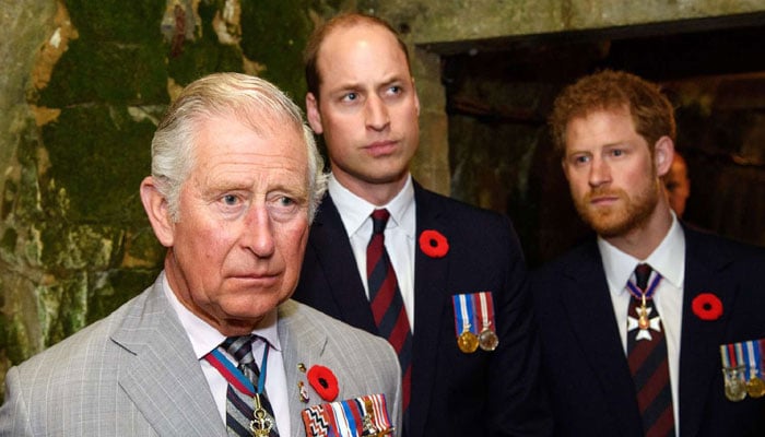 Prince William played a very important role in Harry, the Peace Summit of King Charles: Report