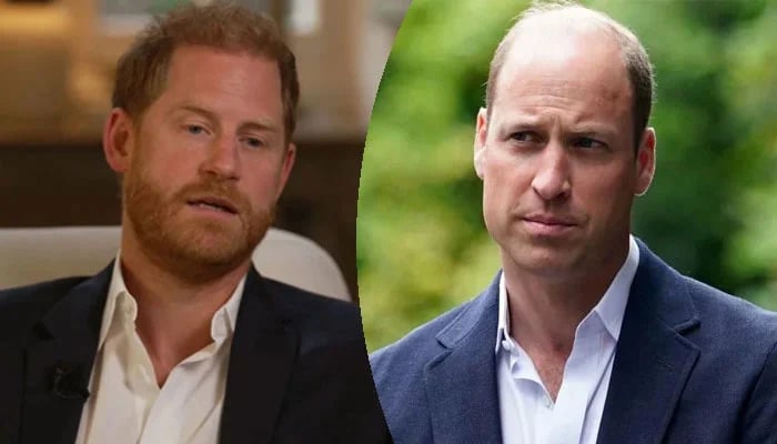 Prince William warned about 'damage if Harry remains an enemy