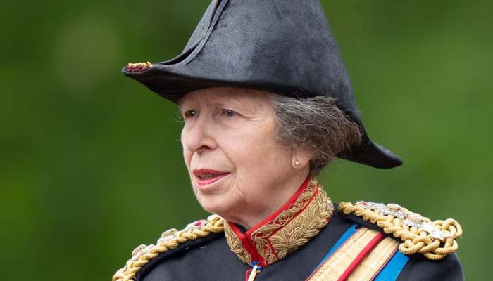 Princess Royal steals the care center in the historic real celebration