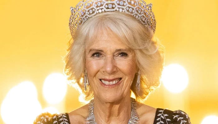 Queen Camilla has no space of 'mercy for the stepson Harry
