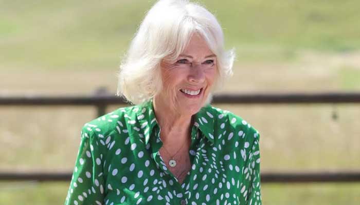 Queen Camilla's moment was exposed to Prince Archie's visual image