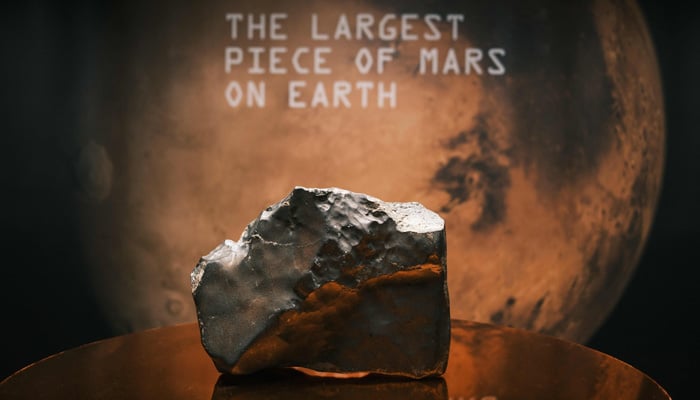 The 54-pounds Martian meteorite NWA 16788, Mars's biggest mart