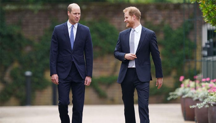 Why does Prince Harry apologize for the royal family?