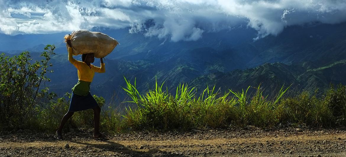 Haiti's long -term development is at risk as financing decreases. Haiti's long -term development is at risk as financing decreases.