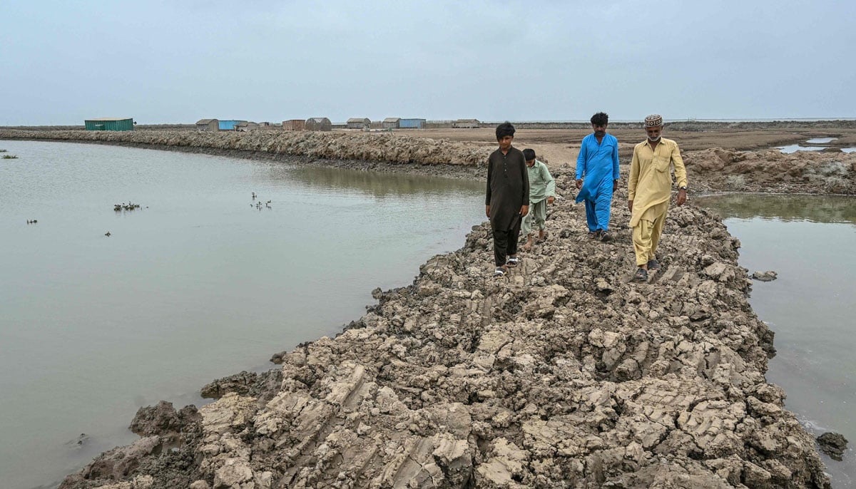 Fisherman Haji Karam Jat (right) walks through a embankment in the city of Keti Bandar of the district of Thatta, near the Delta del Indo, on June 25, 2025. - AFP
