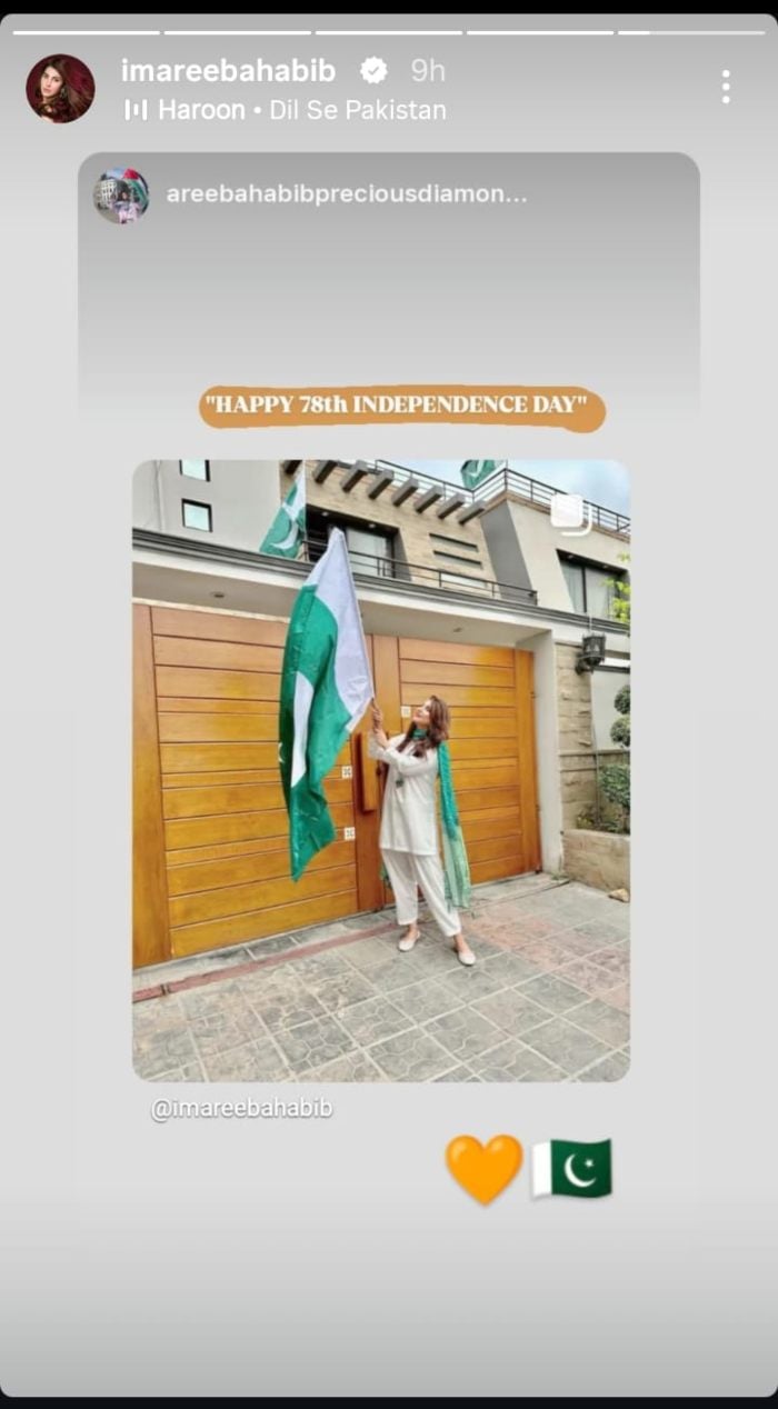 Actor Areba Habibs Post on August 14, celebrating Independence Day. - Instagram/@imarebahabib