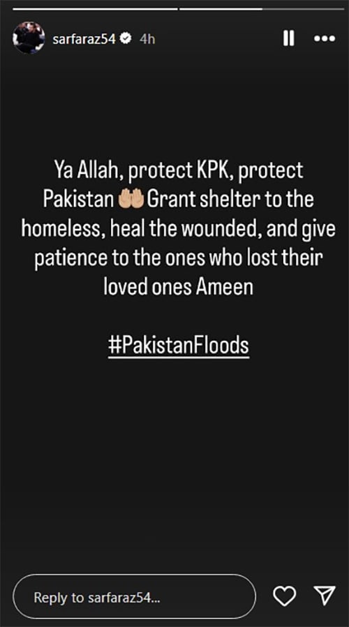 Celebrities, Crickets cry the devastation of floods in northern Pakistan