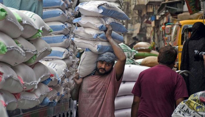 A worker carries shoulder flour bags after downloading a load truck in a local market, Karachi, February 27, 2025. - Online